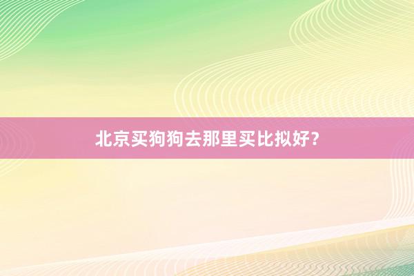 北京买狗狗去那里买比拟好？